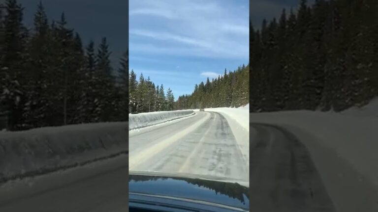 From Banff to Peyto Lake.