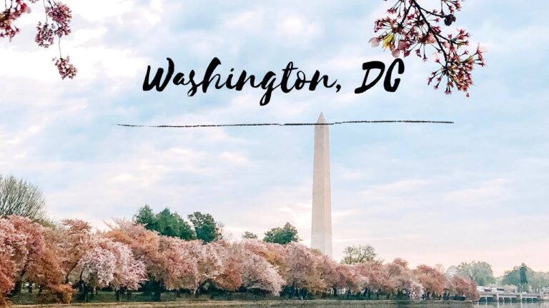 LIVING ALONE IN USA: J1 INTERN | How to travel alone (Washington, DC) •  Cherry Blossom Experience
