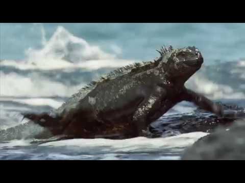 Ecuador’s Travel Guide (Spanish) | Expedia