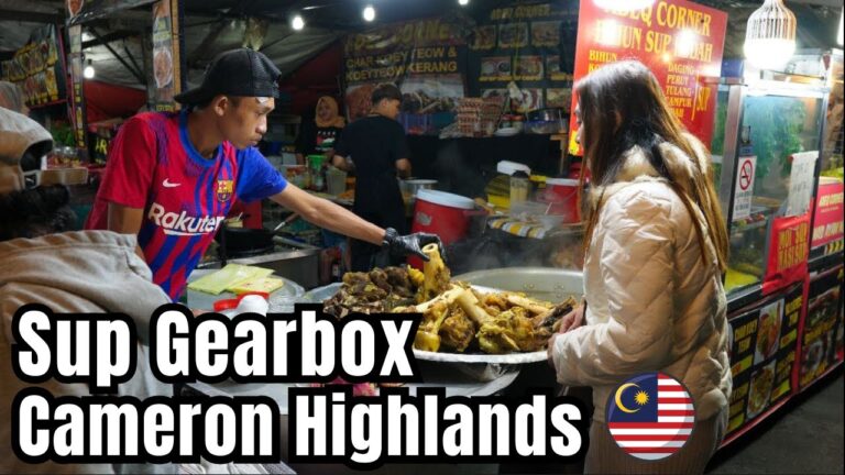 Gearbox Soup Cameron Highlands