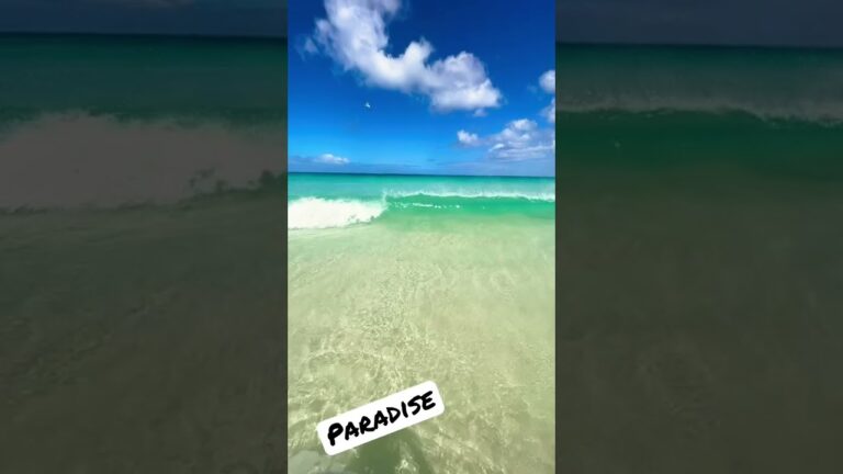 Paradise beach – Fuerteventura #voyage #travel #holiday #beach #sea #paradise #fuerteventura