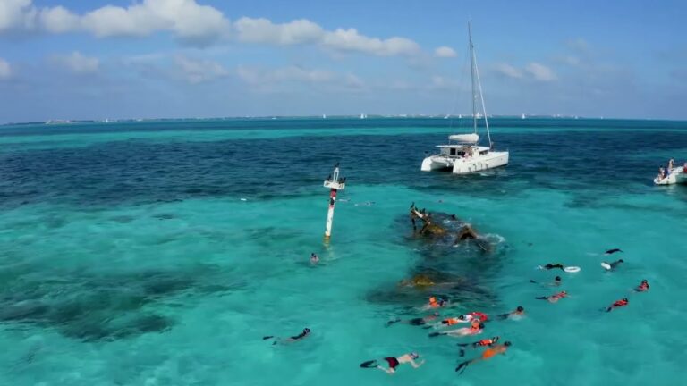 CRUISE PASSENGERS! Book a catamaran excursion. LINK IN THE DESCRIPTION. #stluciatours #stlucia