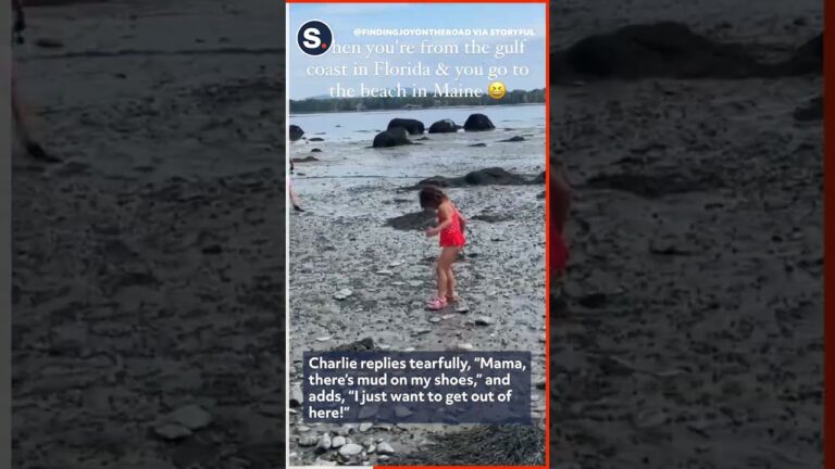 Little Girl Is Not Impressed by Maine Beaches