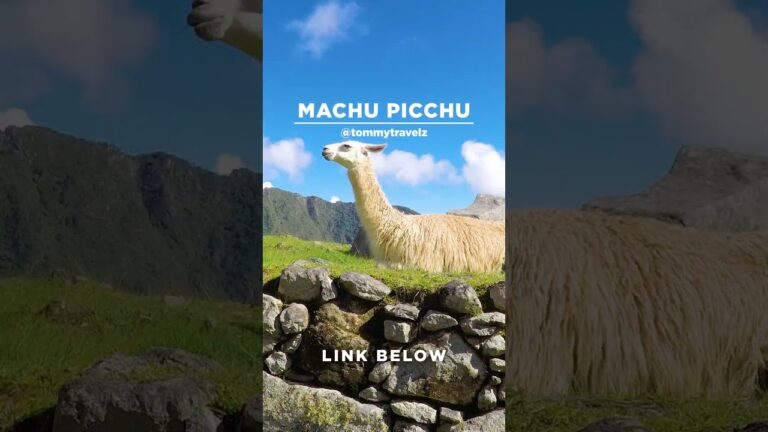 #machupicchu #machupicchuperu #machupicchutravel  #peru #perú #perutravel #travelperu #travellife