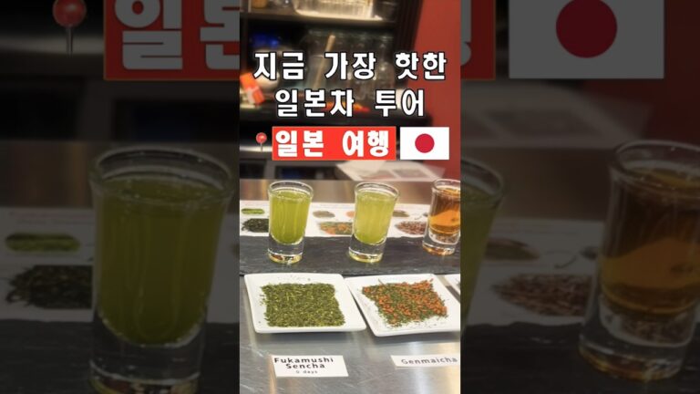 직접 만들고 마시는 일본 차 체험! 말차 말고도 이렇게 맛있다니?! 지금 가장 핫한 일본 차 투어 | #shorts, #일본여행, #여행힌트, #말차, #일본차