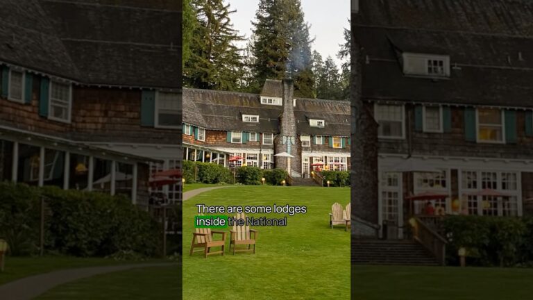 Mistake to Avoid When Visiting Olympic National Park No. 4 #OlympicNationalPark #USNationalparks