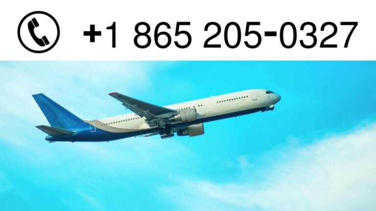 Expedia Customer Service | Full Guide For Contact Expedia Agent