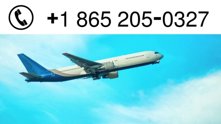 Expedia Customer Service | Contact Methods via Chat, Email & Phone
