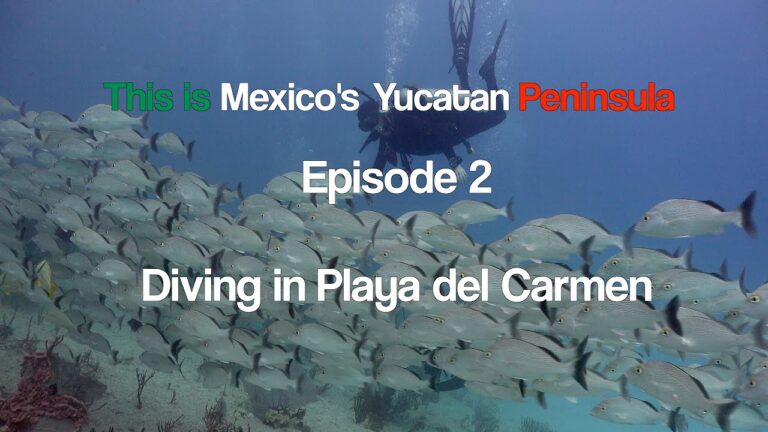 This is Mexico’s Yucatan Peninsula – Episode 2 – Diving in Playa del Carmen – in 4K UHD