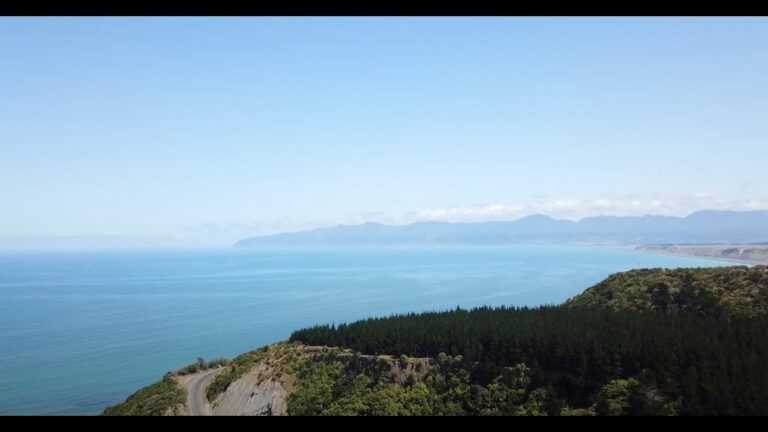 Pakuratahi Forest, Wairarapa, Wellington New Zealand – My Desire – Ambient Chill