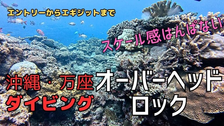 沖縄・万座のオーバーヘッドロックでダイビングしてきた   Diving at Manza in Okinawa, Japan