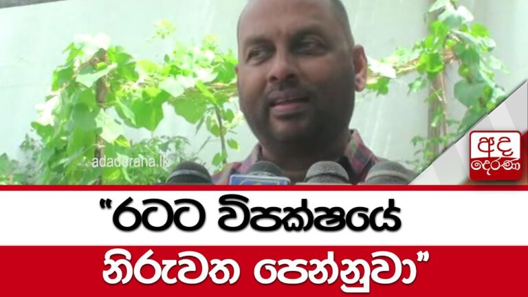 “රටට විපක්ෂයේ නිරුවත පෙන්නුවා”