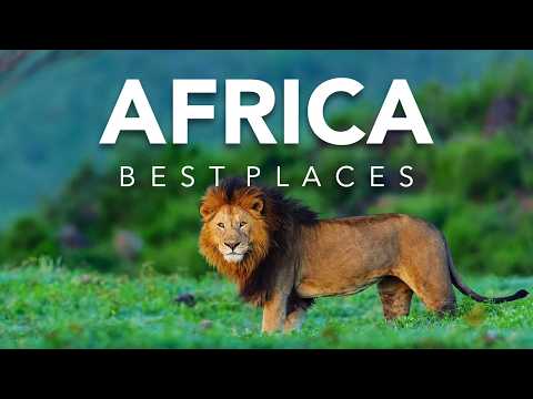 Best Places to Visit Lion Kings in Africa | Travel Guide