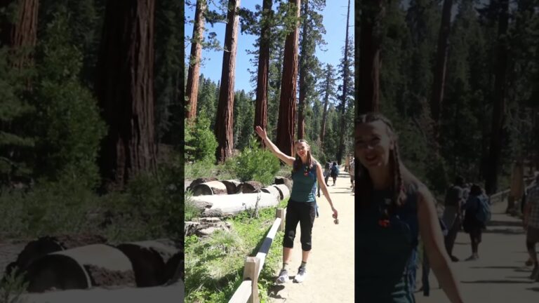 Top 5 Things To Do In Yosemite National Park | Travel Guide 2025