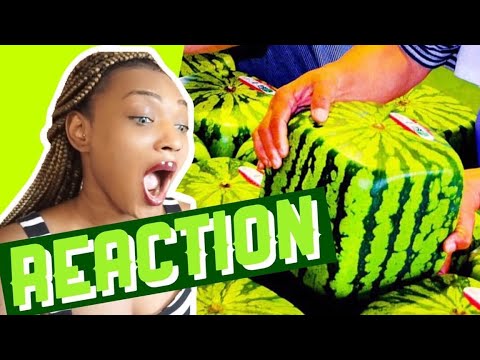 weird things that ONLY exist in Japan REACTION