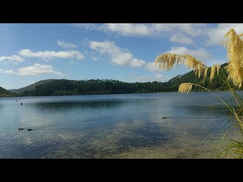 blue lake in Rotorua New Zealand