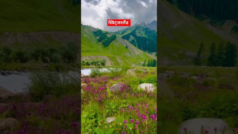 स्विट्जरलैंड ❣️ #viral #viralvideo #trending #trendingshorts #shortvideo #shortsvideo #shorts #short
